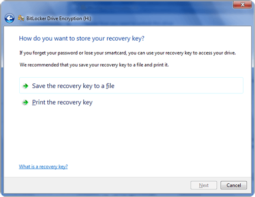 bitlocker drive encryption pendrive with password