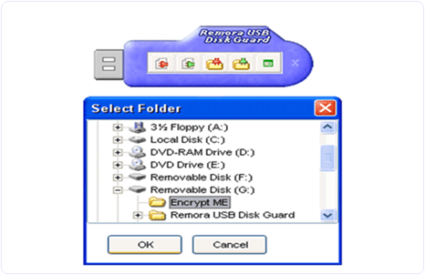 remora usb disk guard encryption software