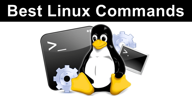 Linux Commands 2022 List (Best 200+)