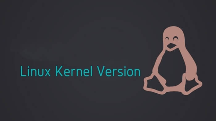 Linux Kernel Version