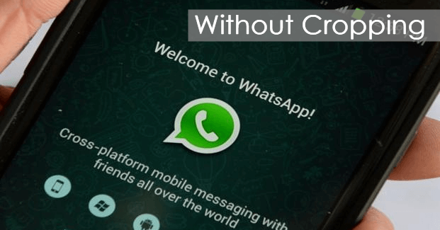 How To Set Whatsapp Profile Picture Without Cropping